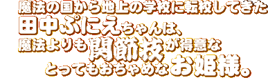 魔法の国から地上の学校に転校してきた田中ぷにえちゃんは、魔法よりも関節技が得意なとってもおちゃめなお姫様。